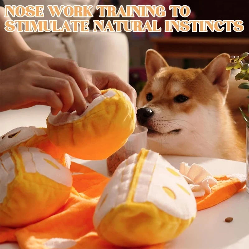 Orange Hide-and-Seek Plush Dog Toy