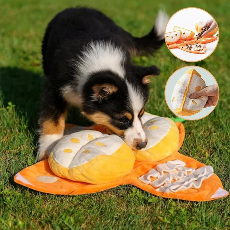 Orange Hide-and-Seek Plush Dog Toy